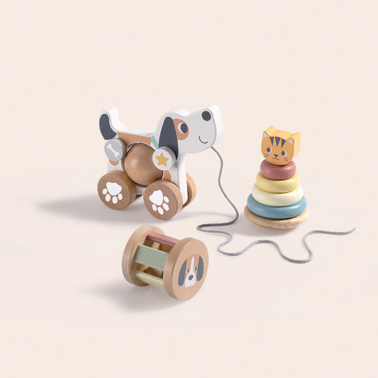 Set educativo 3 en 1