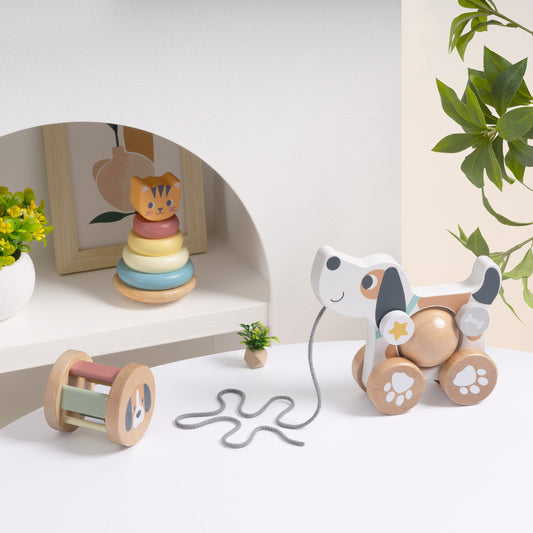 Set educativo 3 en 1