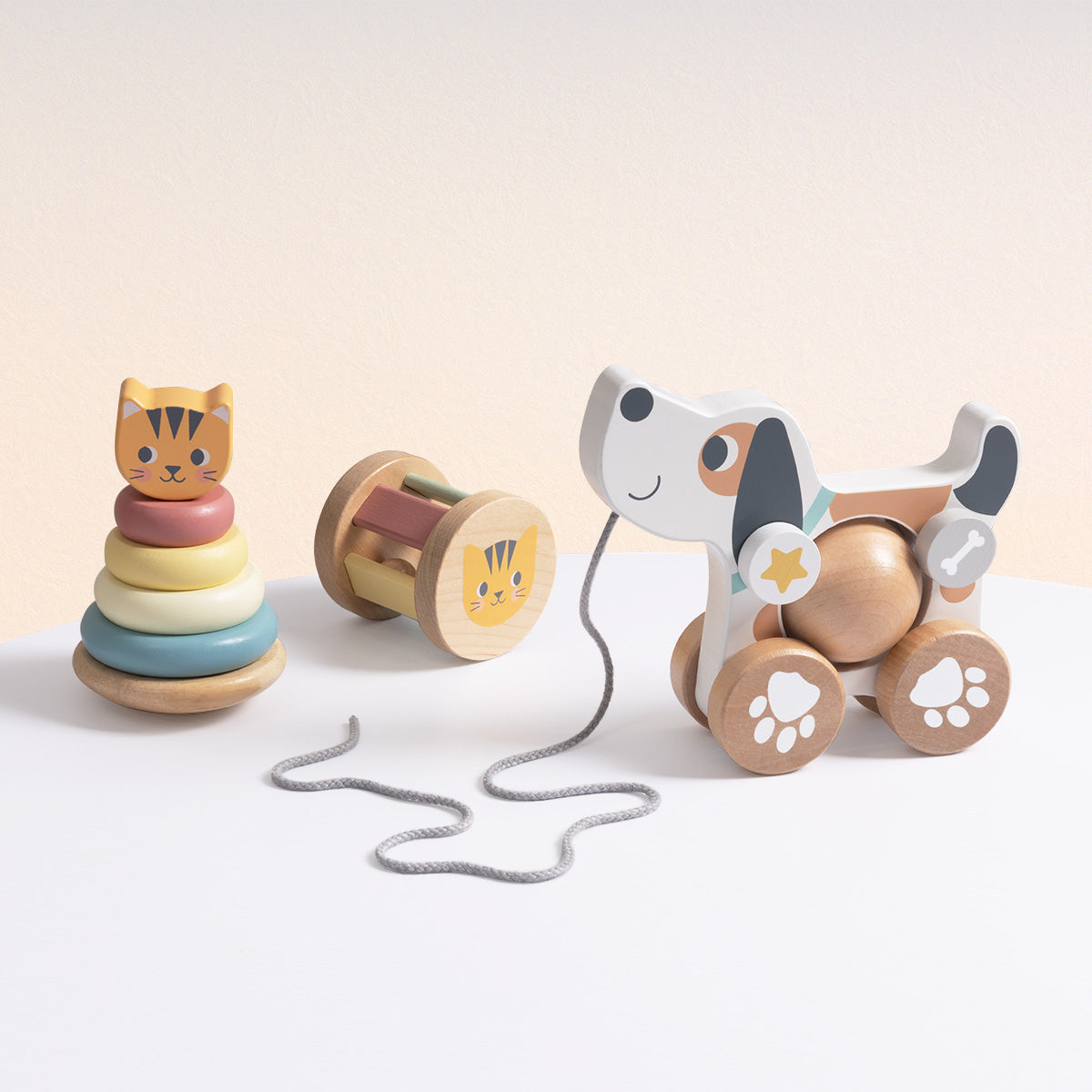 Set educativo 3 en 1