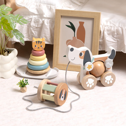 Set educativo 3 en 1