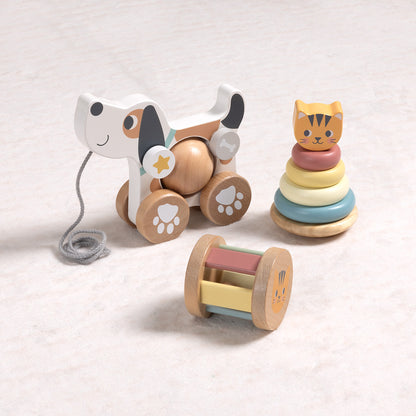 Set educativo 3 en 1